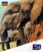 Malawi eSIM Plans - Roamight